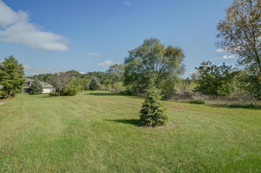 Woods and prairie - 325 Henry Dr