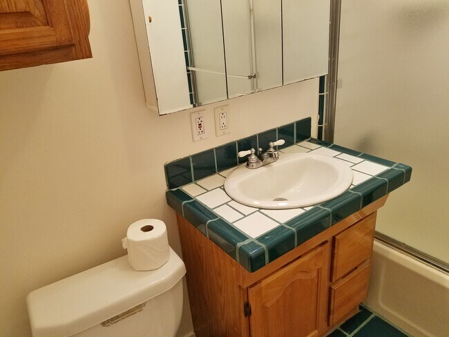 Master bath w/tub & shower - 15242 Wilkie Ave