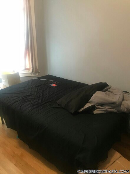 Building Photo - 376 Prospect St