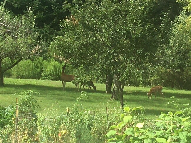 Building Photo - 56 London Rd