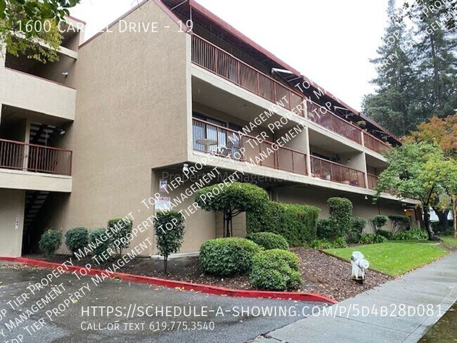 Primary Photo - Beautiful 1 Bd/1 Ba, 601 sf Downtown Walnu...