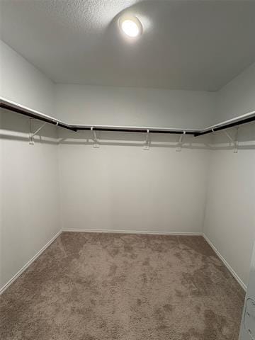 Building Photo - 514 Cochran Dr