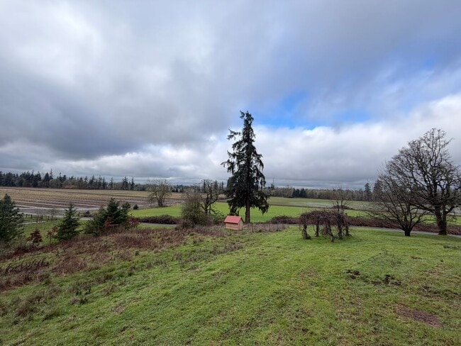 Building Photo - 3 Bedroom with a View!