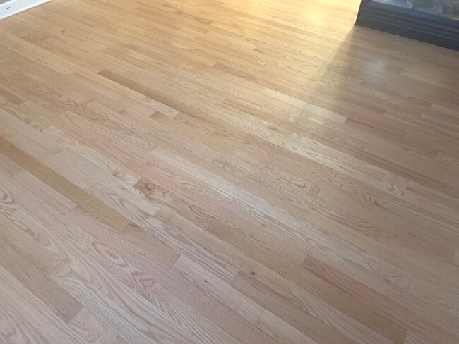 Building Photo - 1777 Concord Dr