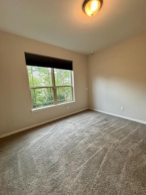 Building Photo - 119 Bluebell Woods Way
