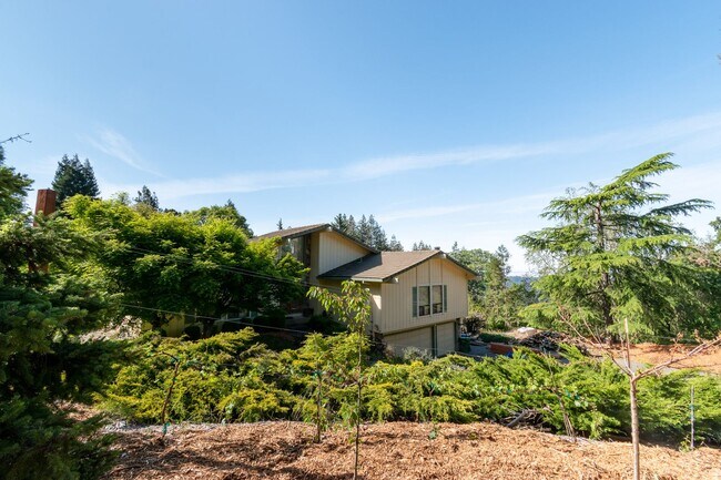 Building Photo - Los Gatos Mountain Living at its Best! Gated 1 Acre lot! Spacious 5 bedroom House! Pool!