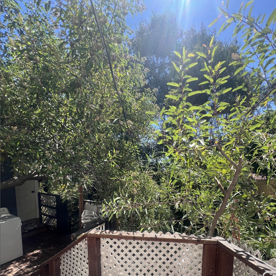Surrounded by all nature - 640 Cavanagh Rd