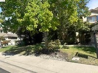 Building Photo - 1531 Siemering Way