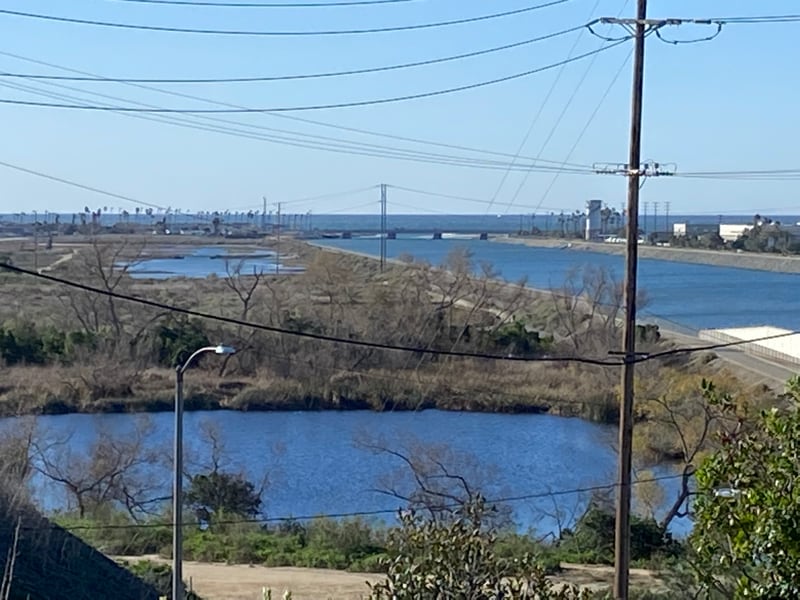 Building Photo - 2151 Pacific Ave