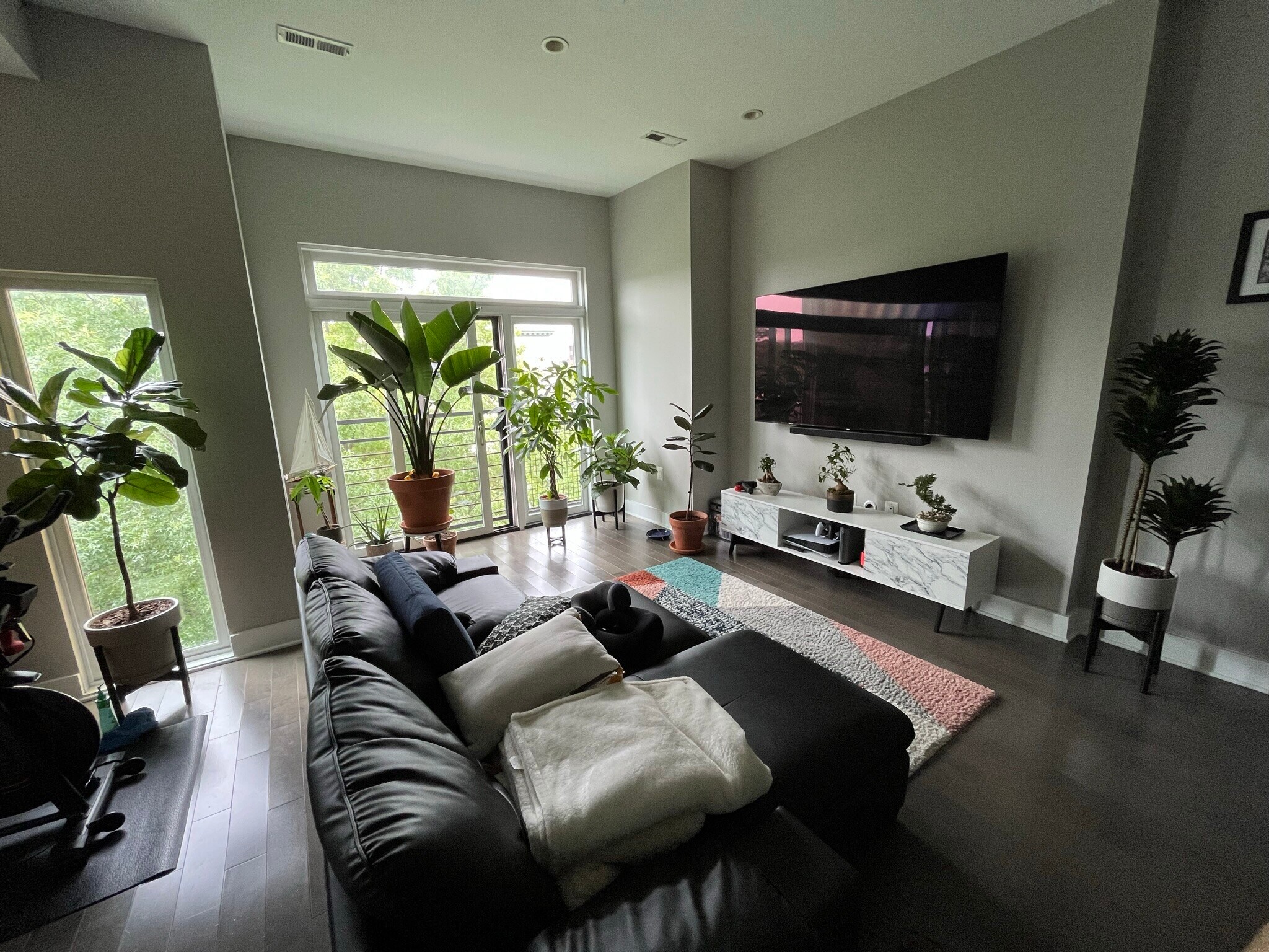 9 foot ceilings and west facing windows create great natural lighting - 3821 14th St NW