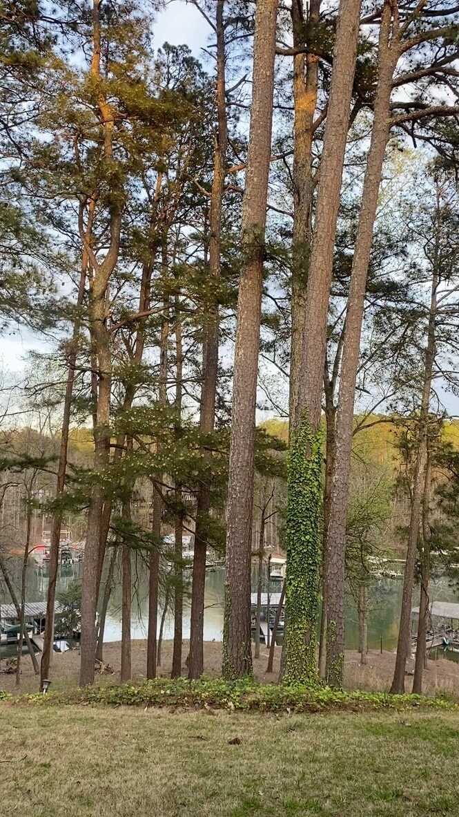 Building Photo - 2109 Pine Tree Dr