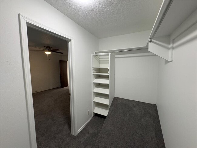 Building Photo - 3325 Brookhollow Ct