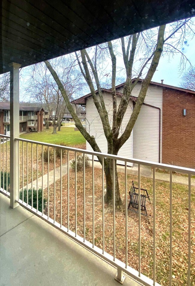 Building Photo - 220 Suppiger Ln