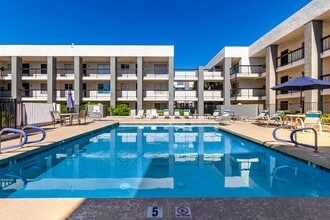 Building Photo - New Listing in Scottsdale