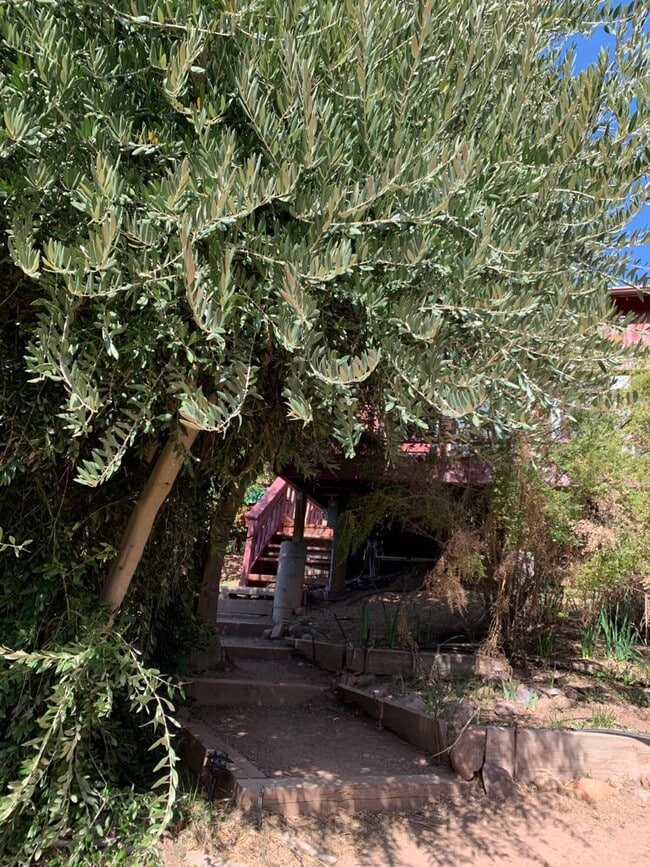 Entrance Path - 23273 Red Rock Rd