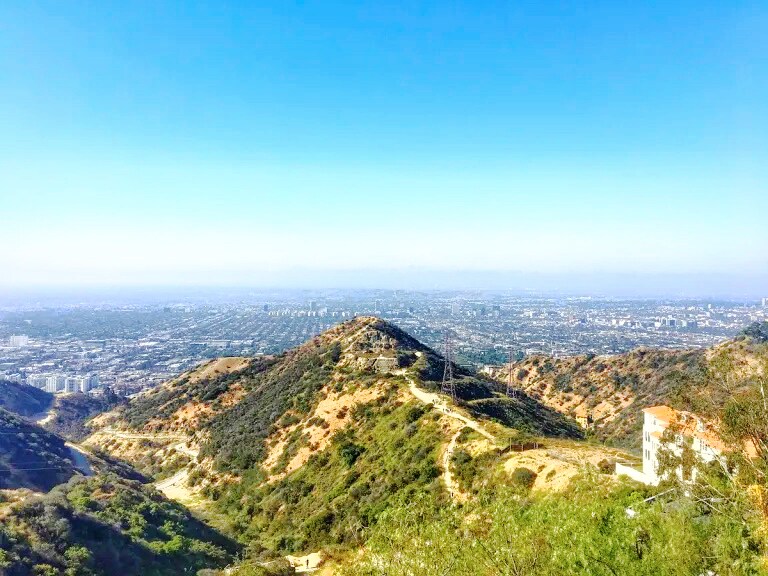 Building Photo - 1745 Camino Palmero St