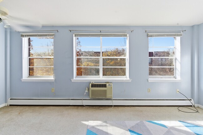 Building Photo - 40 Owen St