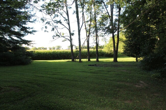 Building Photo - Coming Soon! Stunning Custom 4 Bedroom Hom...