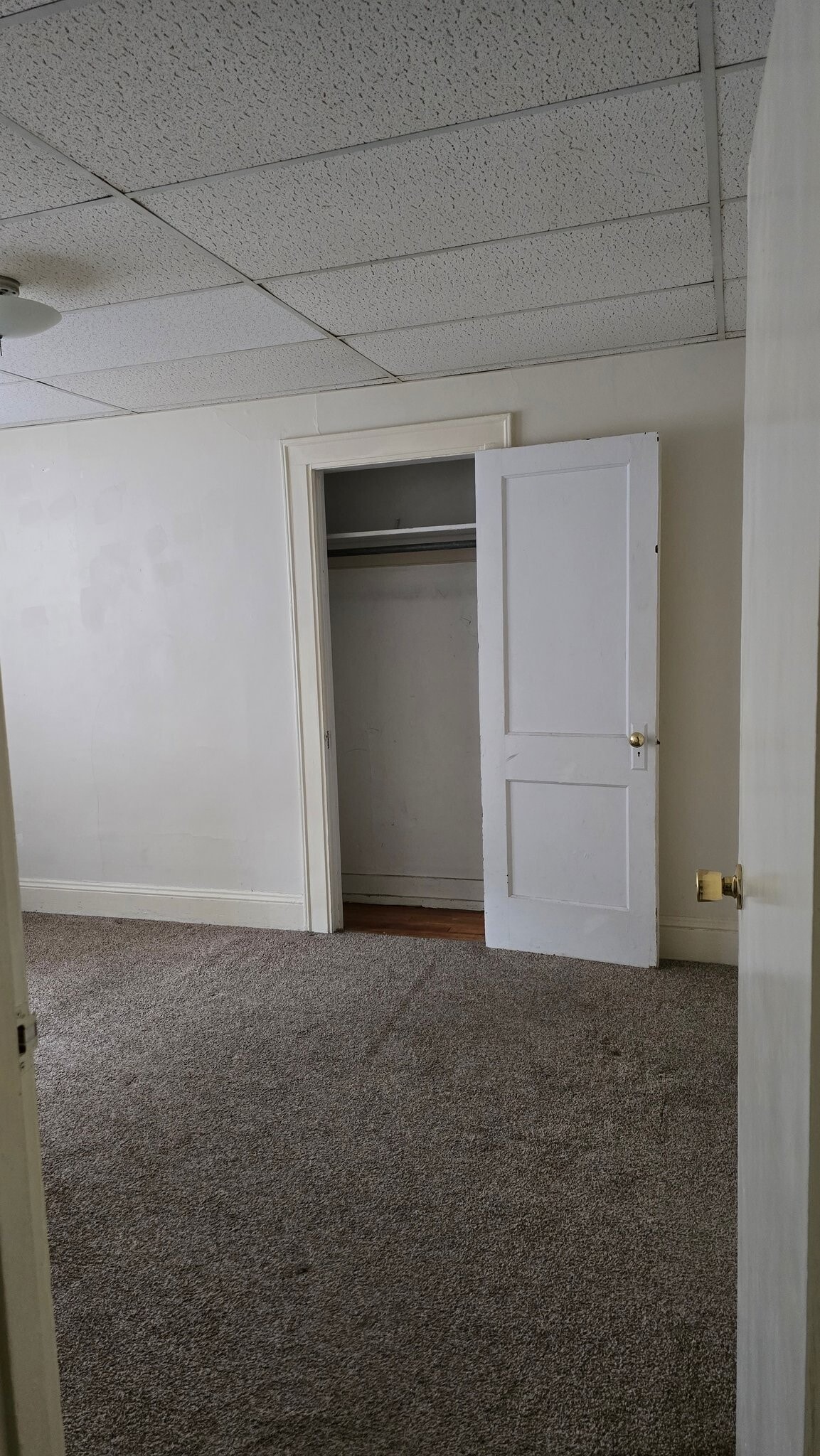 Building Photo - 116 Campbell Ave