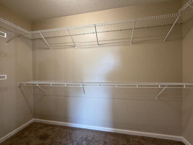 Building Photo - Newly Renovated Modern Home