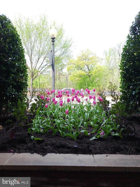 Building Photo - 2500 Q St NW