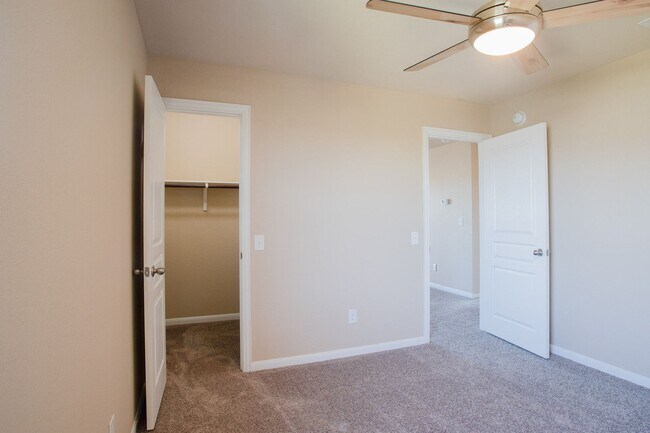 Building Photo - 1005 Papaya Cove