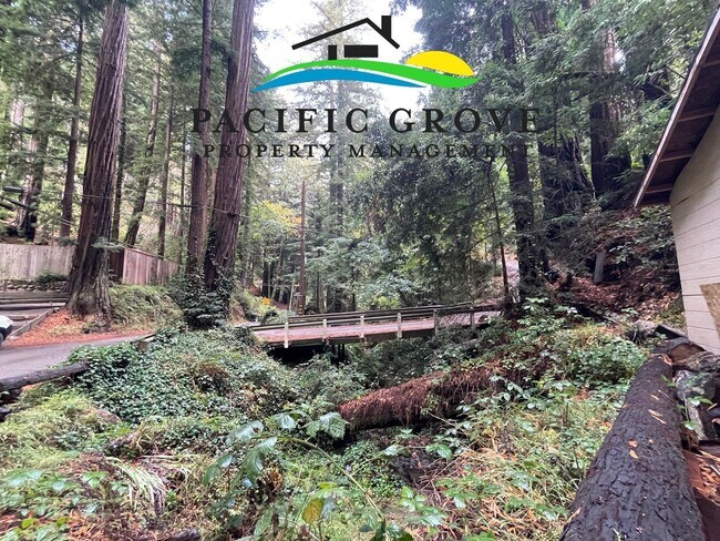 Building Photo - Cabin on Palo Colorado