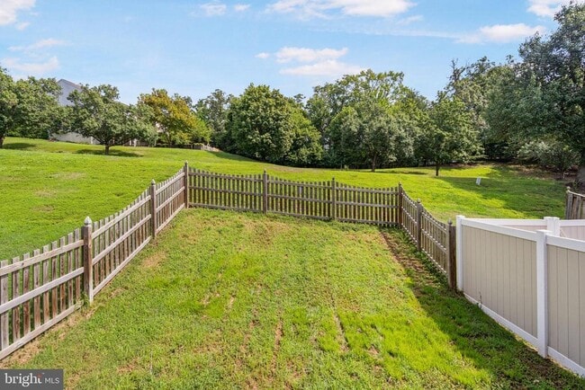 Building Photo - 3322 Raccoon Ct