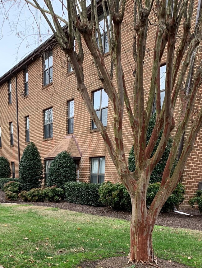 Oak Grove Apartments 408 Trotman Way Chesapeake VA 23320 Apartment