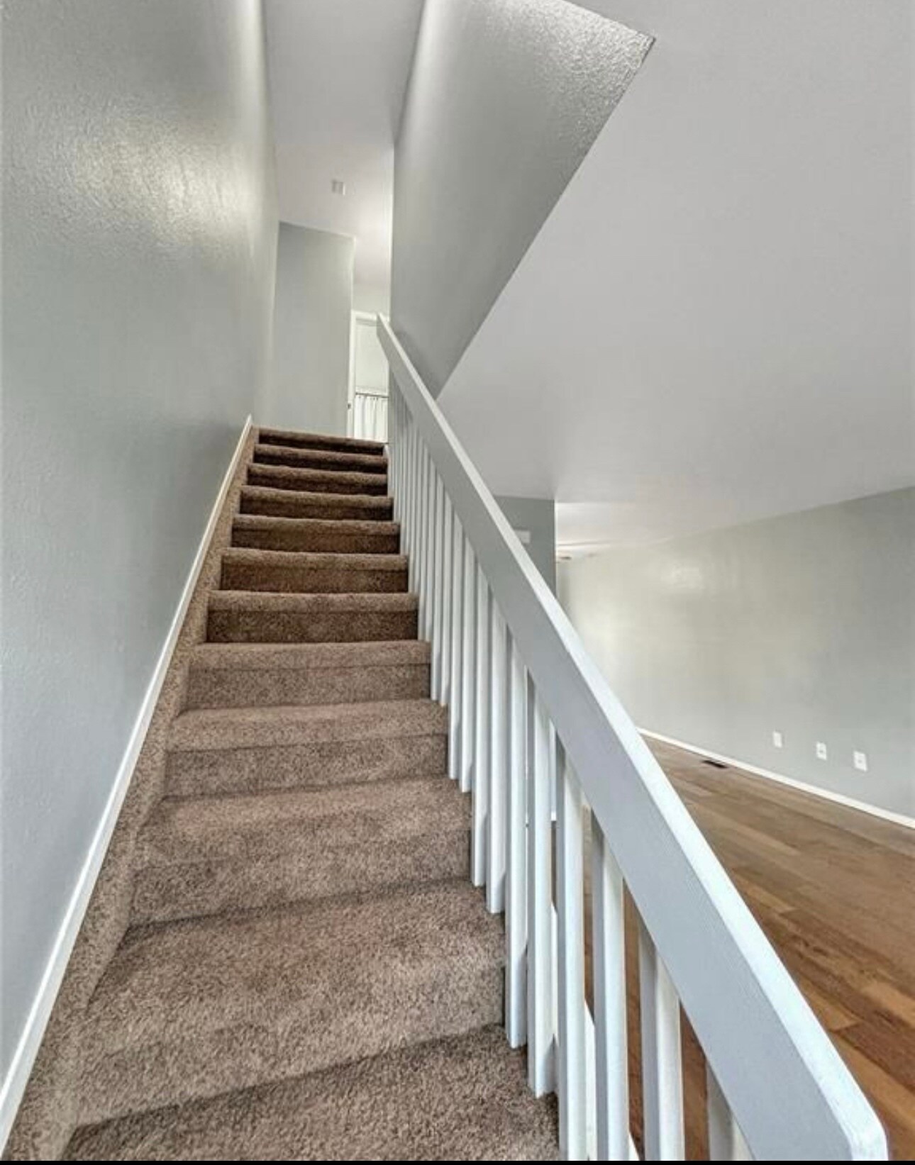 Building Photo - 3033 Starlight Cir