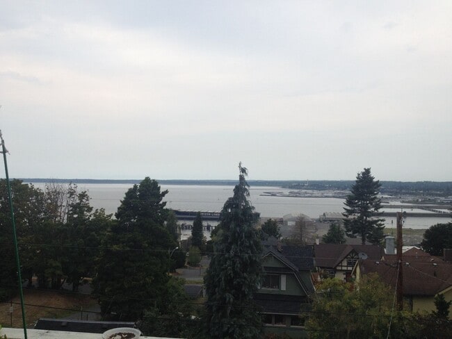 Building Photo - Spacious Units Across from WWU