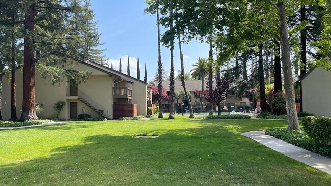 Building Photo - Walnut Creek! 1 bedroom 1 bath  excellent location walk to Bart & Bay Club, minutes to Downtown!