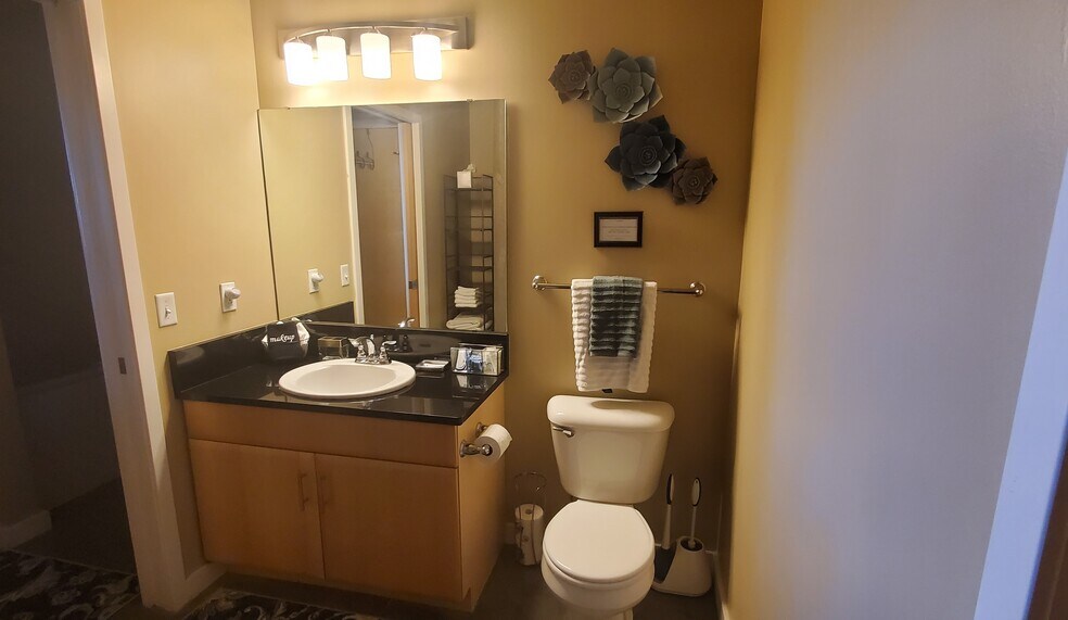 Main Bath Vanity area - 1635 Washington Ave