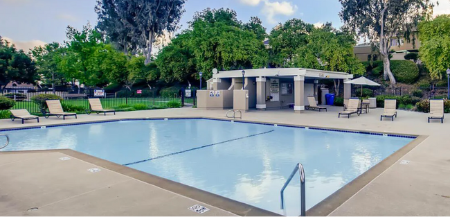 Pool View - 13784 Sycamore Tree Ln