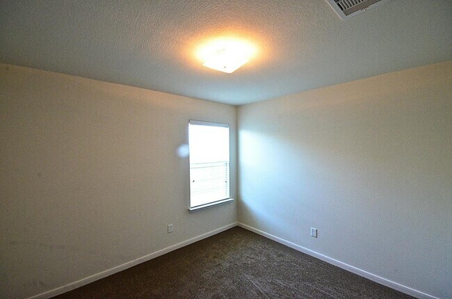 Building Photo - 4307 Sunflower Creek Ln