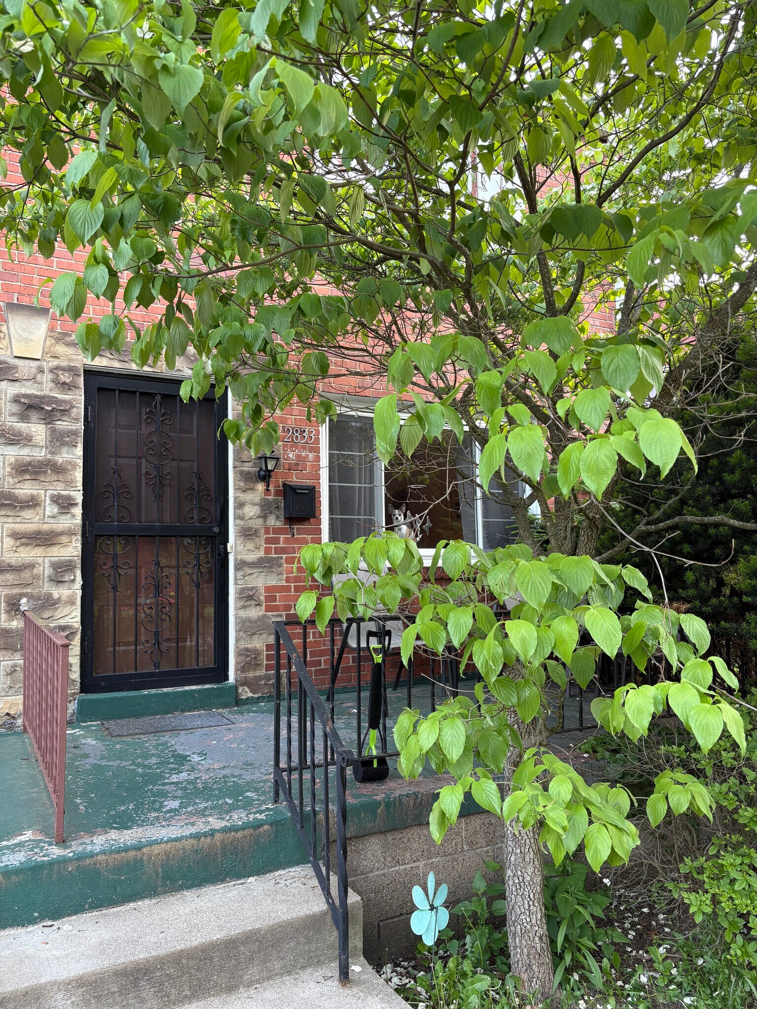 Building Photo - 2833 Fernwald Rd