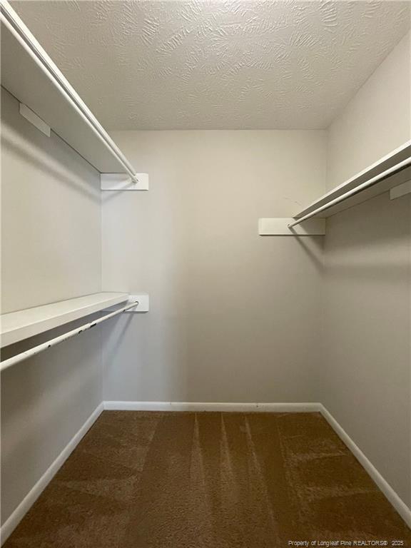 Building Photo - 7128 Calamar Dr