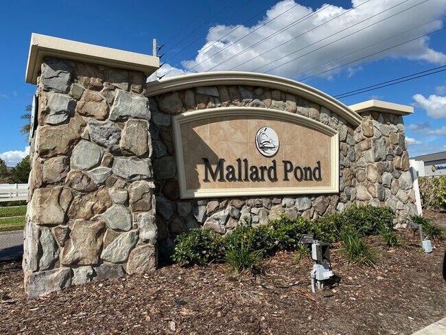 Building Photo - Mallard Pond-3528 Saxony Lane St. Cloud, FL 34772