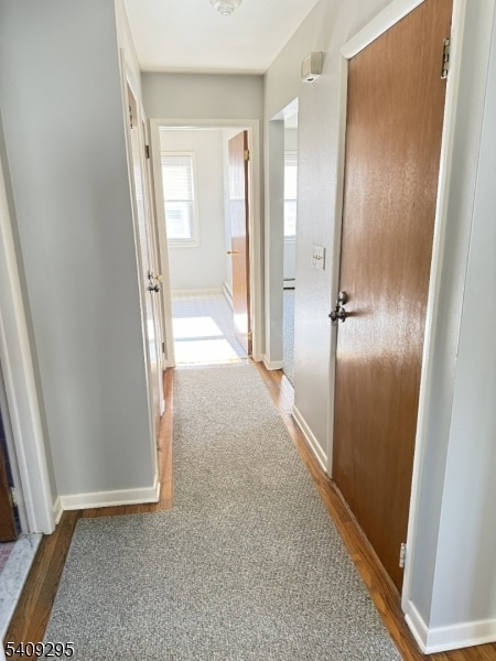 Building Photo - 172 Kanouse St