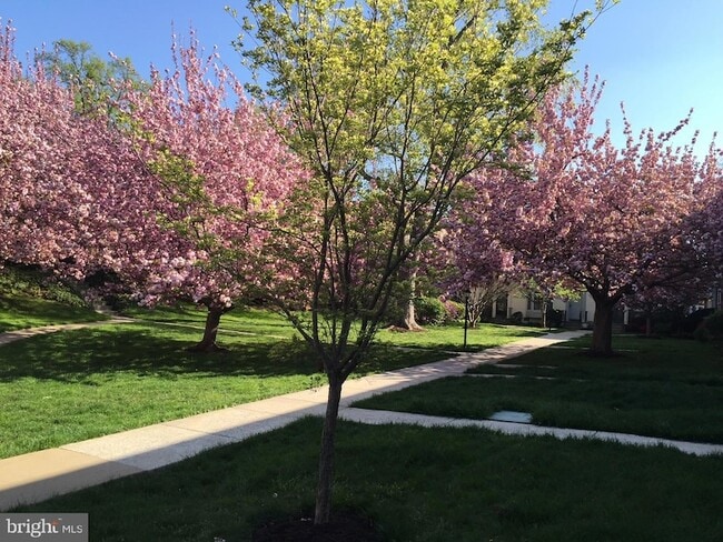 Building Photo - 4920 Bradley Blvd