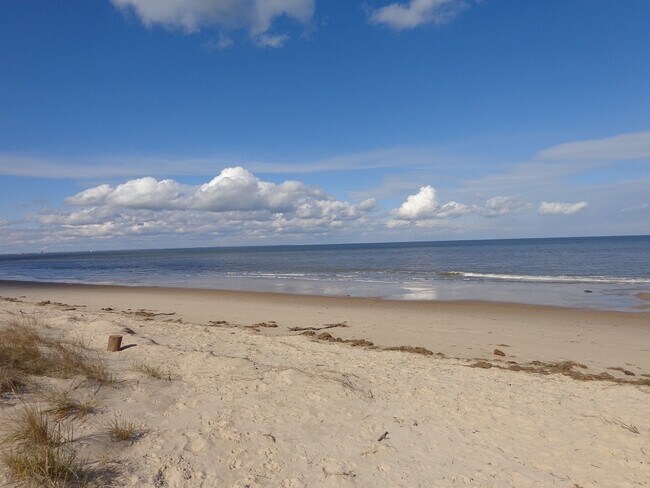Building Photo - Ocean View