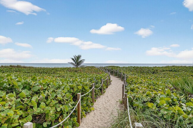 Building Photo - 250 S Ocean Blvd