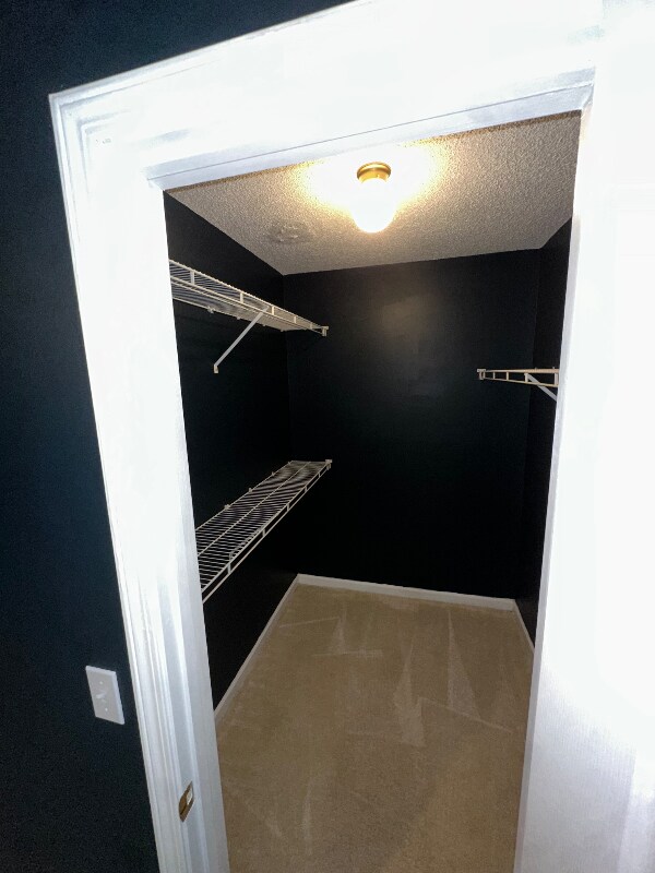 Building Photo - 289 Rolling Rock Rd