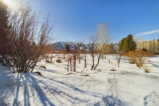 Building Photo - 209 E Reds Rd