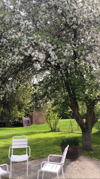 Building Photo - 1223 N 8th Ave