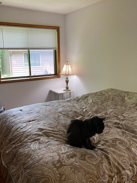 Large, bright bedroom - 166 Old Brookfield Rd