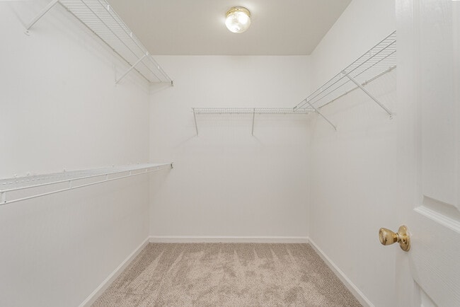 Building Photo - 3802 Brookchase Ln