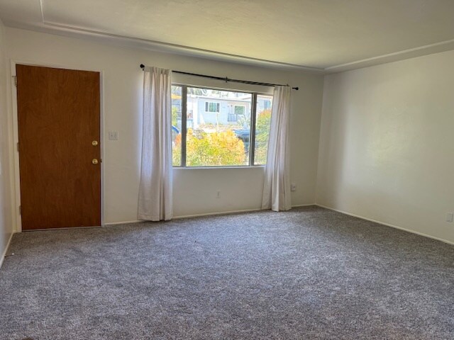 new carpet, drapes - 7135 Mohawk St