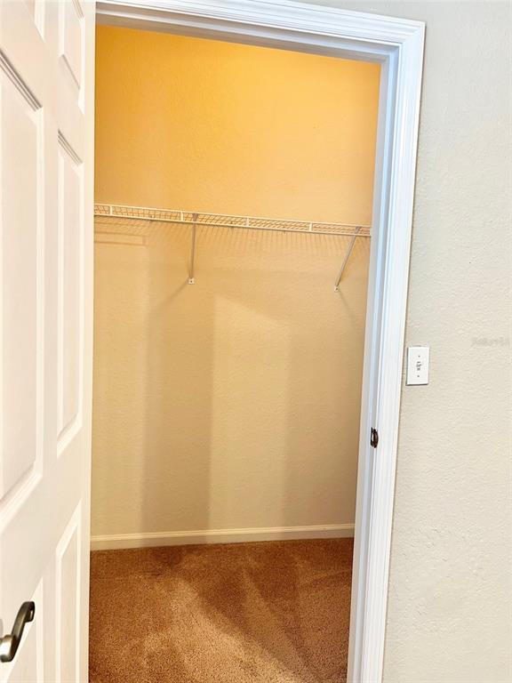 Building Photo - 3341 Whitestone Cir