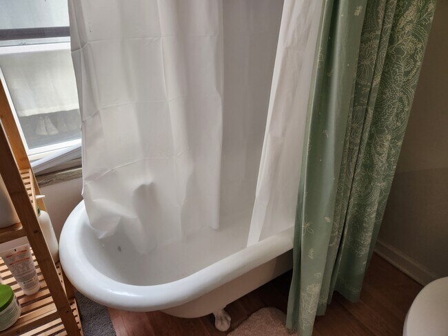 Clawfoot Tub in Main Bathroom - 224 W 3rd Ave